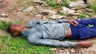 Ambikapur Murder News: Class 9 student bludgeoned to death with a stone; body found in the forest.