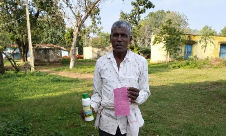 एमसीबी जिले के किसान मिठाईलाल अपने खेत में नैनो डीएपी के उपयोग के बाद फसल का निरीक्षण करते हुए।