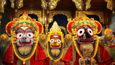 Echoes of devotion in Puri: Lord Jagannath's world-famous Rath Yatra begins; lakhs of devotees witness the event