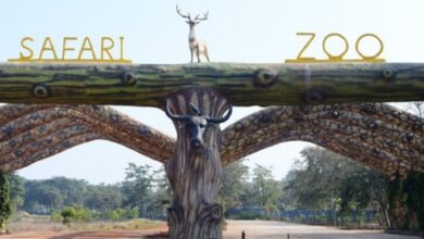 Nandanvan Jungle Safari, Naya Raipur: Tourism gains a new identity alongside wildlife conservation.