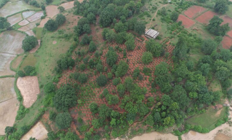 Jashpur News: Ghoghar becomes a model for water conservation through the 'Mor Gaon, Mor Pani' campaign; groundwater levels to rise with 3,000 water absorption tanks.