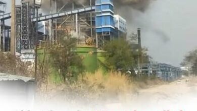 196 workers died in Chhattisgarh's industries over 17 months; government provided the information in the Legislative Assembly.