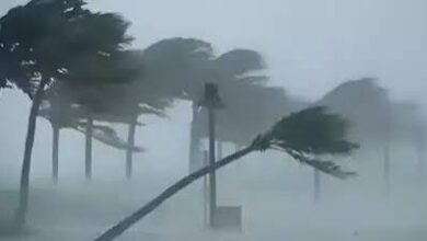 Weather Update: Heavy rain alert in 15 states, know the weather of UP-Bihar and Delhi-NCR
