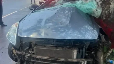 Havoc caused by speeding in Bhilai: Car crashes into a tree; two youths die on the spot.