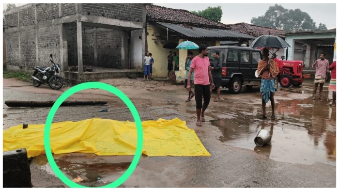 Elephant rampage in Raigarh; 60-year-old villager dead; panic in villages.
