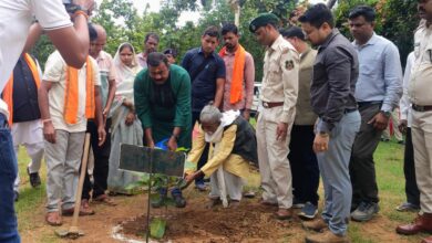 Green cover expands and forest land turns lush green under Chief Minister Sai's 'Ek Ped Maa Ke Naam' campaign.
