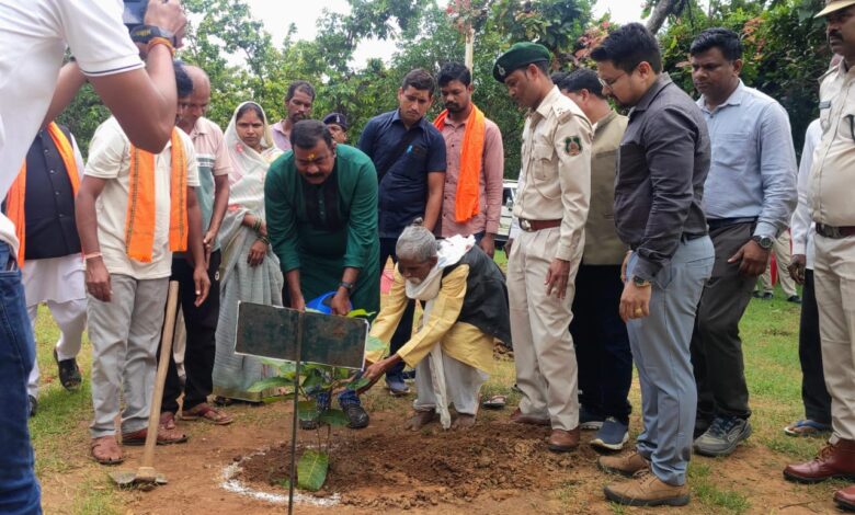 Green cover expands and forest land turns lush green under Chief Minister Sai's 'Ek Ped Maa Ke Naam' campaign.