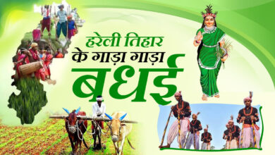 Hareli Tihar: From welcoming the greenery to the fun of 'Gedi'—this is what Chhattisgarh's first folk festival is like.