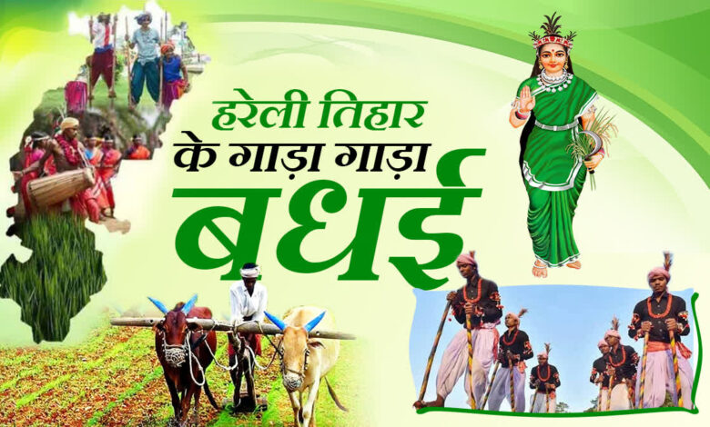 Hareli Tihar: From welcoming the greenery to the fun of 'Gedi'—this is what Chhattisgarh's first folk festival is like.