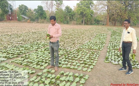 Tendu leaf collection center opened near the village; income of 365 collectors from 22 Abujhmarh villages has increased.