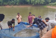 Earnings of ₹30,000 in two months: Fish seed production transformed a farmer's life.