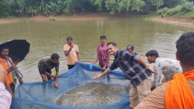 Earnings of ₹30,000 in two months: Fish seed production transformed a farmer's life.