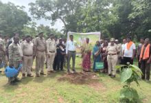 Balodabazar resonates with the ‘Ek Ped Maa Ke Naam’ campaign; saplings planted during Van Mahotsav.