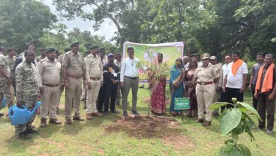 Balodabazar resonates with the ‘Ek Ped Maa Ke Naam’ campaign; saplings planted during Van Mahotsav.