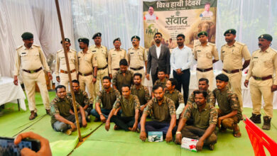 विश्व हाथी दिवस पर GPM में बड़ा संदेश, ‘गज संकेत’ ऐप से हाथियों की गतिविधियों पर रहेगी नजर