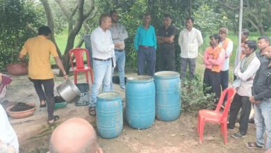 'Jeevamrit Model Farms' established in 160 Gram Panchayats; organic farming receiving a boost.