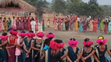 The vibrancy of the *Ghotul* is returning to Abujhmar; evenings are beginning to resonate with the beat of the *Mandar* drum and the sounds of folk songs.