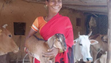 Woman farmer Raibali's hard work pays off; integrated farming yields year-round income.