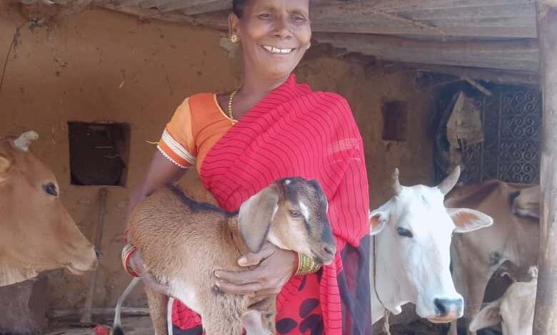 Woman farmer Raibali's hard work pays off; integrated farming yields year-round income.