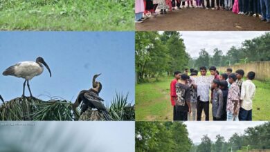 Successful conclusion of the Hareli Bird Festival in Chhattisgarh; 211 bird species recorded across 954 checklists.