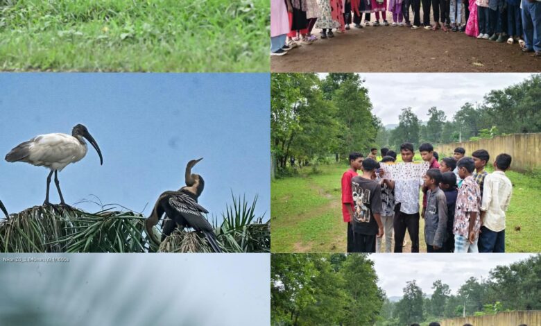 Successful conclusion of the Hareli Bird Festival in Chhattisgarh; 211 bird species recorded across 954 checklists.