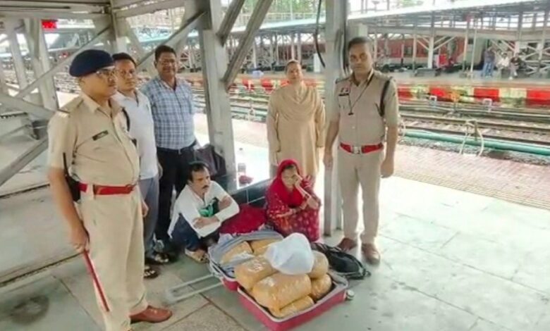 Cannabis smuggling racket busted; two arrested with a consignment worth ₹10.50 lakh.