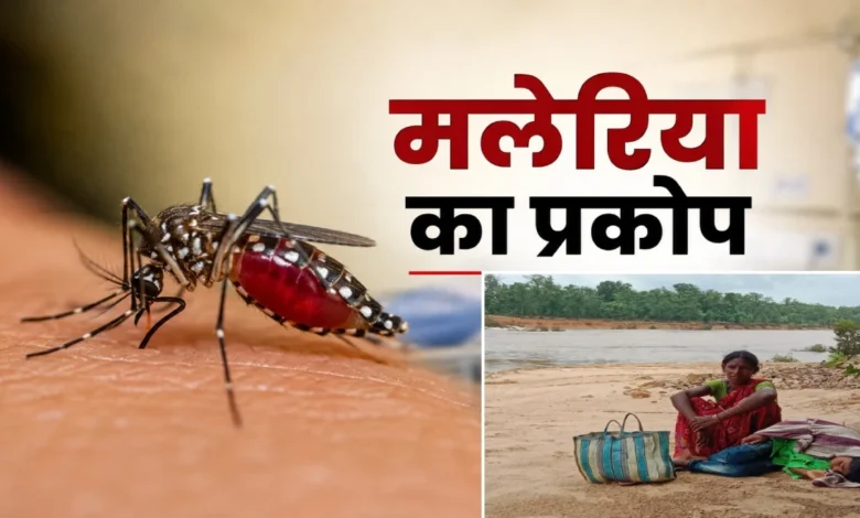 Raging river and malaria outbreak: Villagers in Kanker in dire straits.