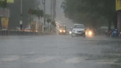 CG Weather: Normal monsoon in the state; rainfall above average in several districts, while still below average in others.