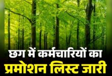 Major promotions in Chhattisgarh Forest Department: 18 Rangers become Assistant Conservators of Forests.