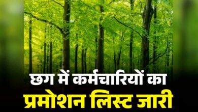 Major promotions in Chhattisgarh Forest Department: 18 Rangers become Assistant Conservators of Forests.