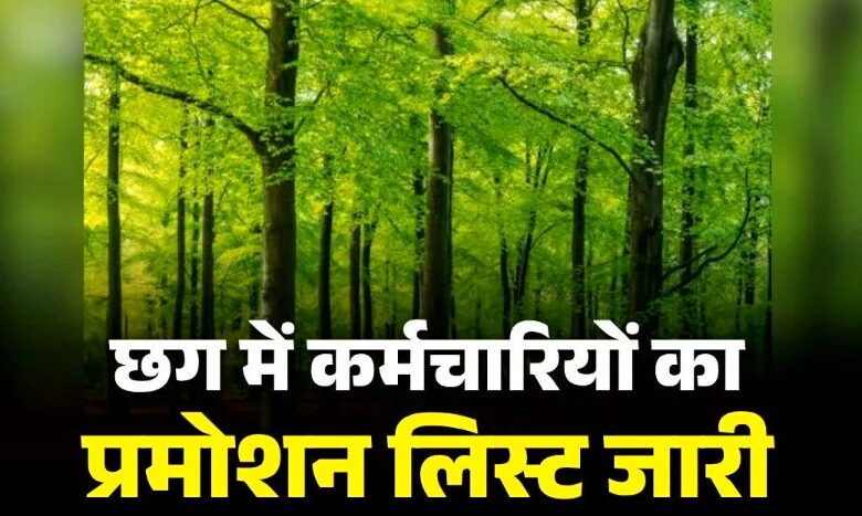 Major promotions in Chhattisgarh Forest Department: 18 Rangers become Assistant Conservators of Forests.