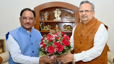 राजनांदगांव फर्टिलाइजर प्लांट से बढ़ेंगे रोजगार के अवसर: CM साय