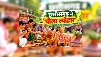 Pola festival being celebrated with great enthusiasm in Chhattisgarh; farmers worshiped bullocks and prayed for prosperity.