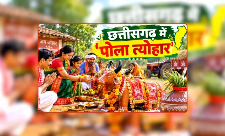 Pola festival being celebrated with great enthusiasm in Chhattisgarh; farmers worshiped bullocks and prayed for prosperity.