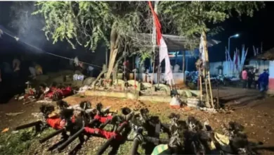 Unique ‘Court of Deities’ held in Bastar; 157 cases heard.