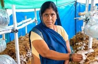 'Mithila Didi' becomes a shining example of women's empowerment; mushroom cultivation boosts employment.