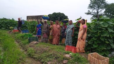 'Bihan' transforms the lives of 35 women farmers; they earned ₹6 lakh by producing 600 quintals of vegetables.