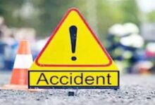 Bilaspur Road Accident: Speeding goods vehicle runs over three people; two brothers killed.
