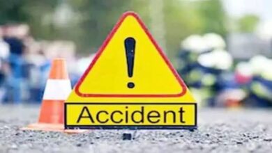Bilaspur Road Accident: Speeding goods vehicle runs over three people; two brothers killed.