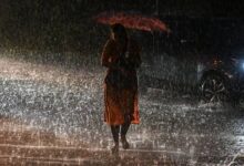 CG Rainfall Report: 996.5 mm rainfall so far in the state, more rain than normal in these districts