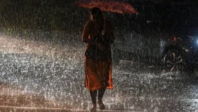 CG Rainfall Report: 996.5 mm rainfall so far in the state, more rain than normal in these districts