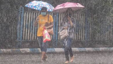 CG Weather News: Weather changes in Chhattisgarh; 'Yellow Alert' for 20 districts and 'Orange Alert' for 5.