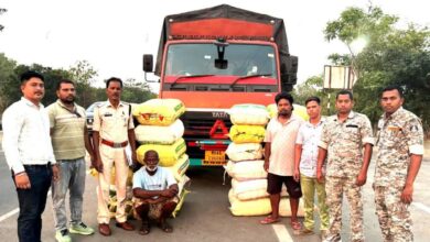 560 kg of cannabis seized in Mahasamund, two smugglers from Maharashtra arrested; valued at ₹2.95 crore.