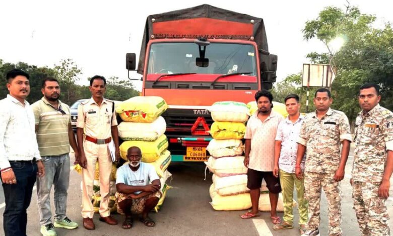 560 kg of cannabis seized in Mahasamund, two smugglers from Maharashtra arrested; valued at ₹2.95 crore.
