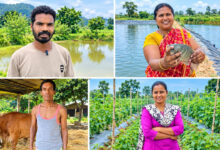 Vegetable, fruit, flower, and fish farming alongside paddy cultivation: diverse income sources created in Surguja.