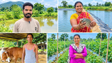 Vegetable, fruit, flower, and fish farming alongside paddy cultivation: diverse income sources created in Surguja.