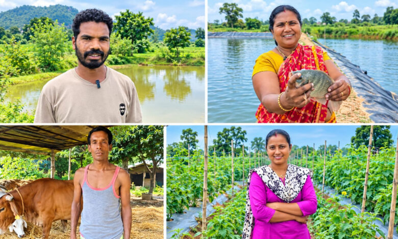 Vegetable, fruit, flower, and fish farming alongside paddy cultivation: diverse income sources created in Surguja.