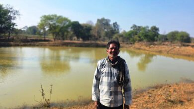 Rural economy in Chhattisgarh gains new strength; avenues for income opening up through animal husbandry and fisheries.