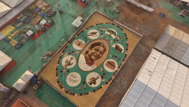 Bastar News: A 20,700-square-foot rangoli made from forest produce in Bastar has set a world record; President Droupadi Murmu viewed the creation.