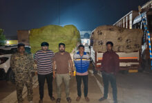Two pickup trucks transporting illegal paddy from Jharkhand seized in Jashpur; vehicles handed over to the police.
